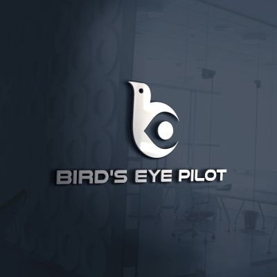 Birds Eye Pilot